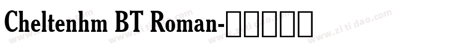Cheltenhm BT Roman字体转换